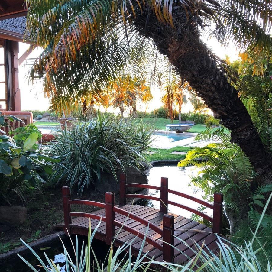 Ho'Oilo House Bed & Breakfast Launiupoko Exterior foto