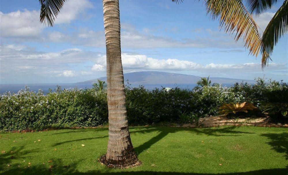 Ho'Oilo House Bed & Breakfast Launiupoko Exterior foto
