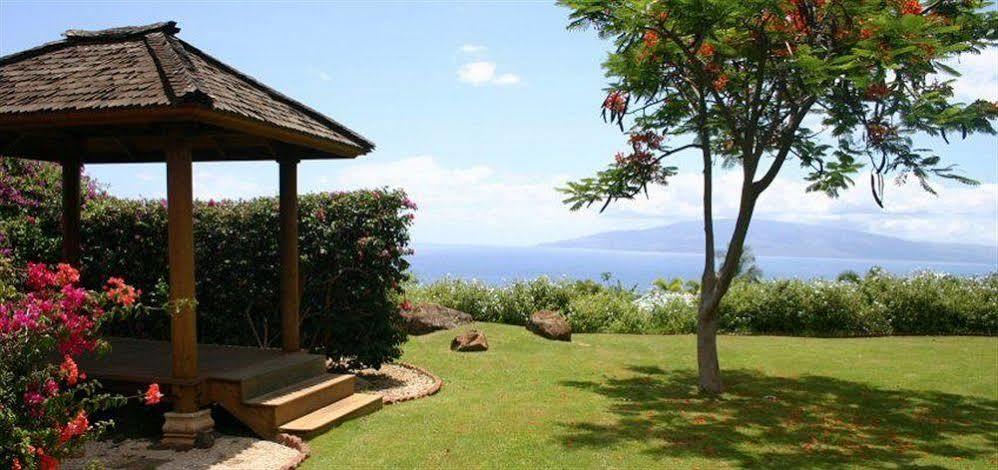 Ho'Oilo House Bed & Breakfast Launiupoko Exterior foto