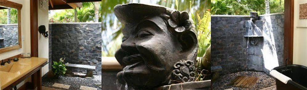Ho'Oilo House Bed & Breakfast Launiupoko Exterior foto